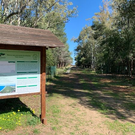 Villaggio Camping Uria Foce Varano Exterior foto